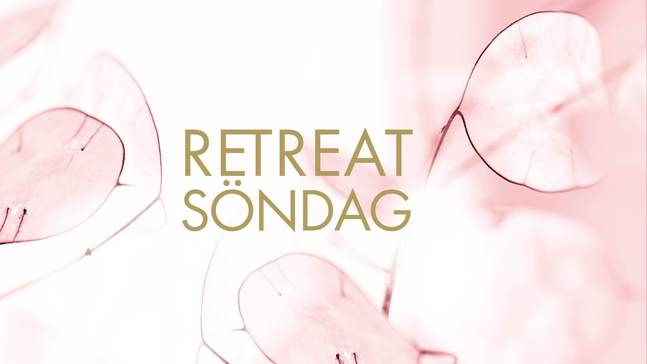 Retreatsöndag 